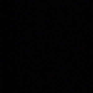 Meet your Posher, Reagan